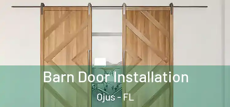  Barn Door Installation Ojus - FL