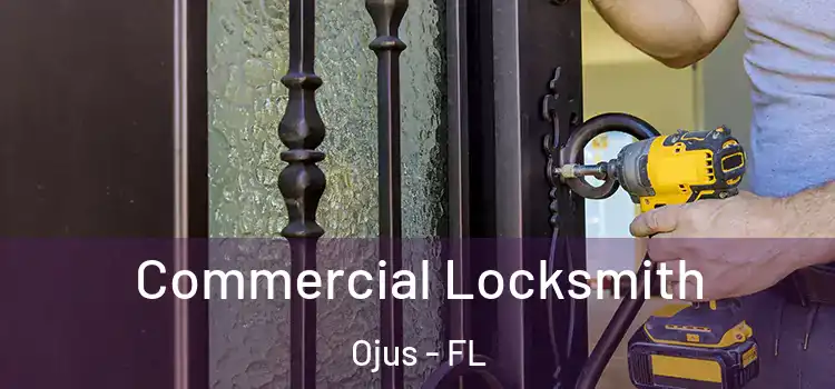Commercial Locksmith Ojus - FL