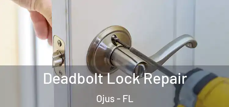 Deadbolt Lock Repair Ojus - FL