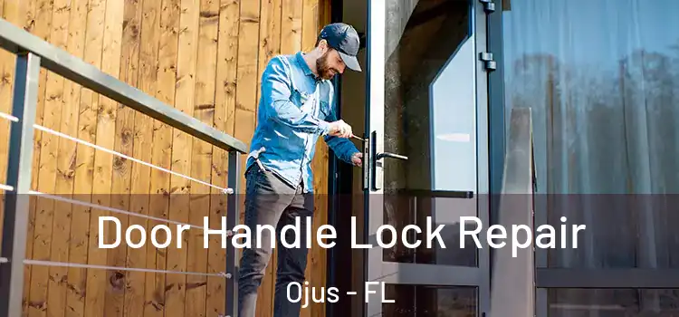 Door Handle Lock Repair Ojus - FL