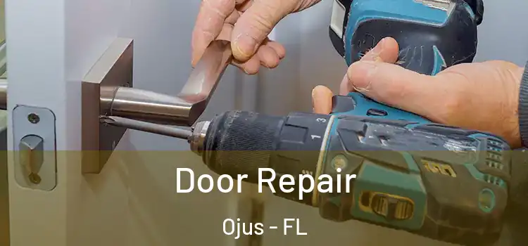 Door Repair Ojus - FL