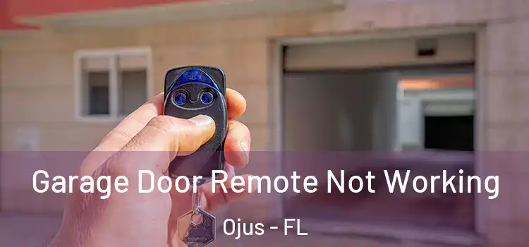  Garage Door Remote Not Working Ojus - FL