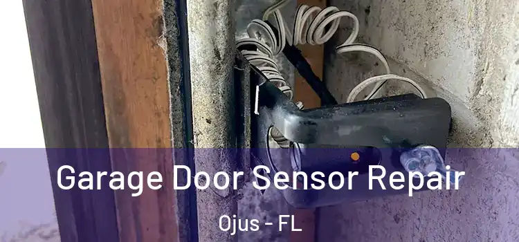 Garage Door Sensor Repair Ojus - FL