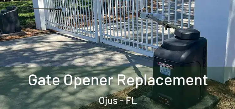 Gate Opener Replacement Ojus - FL