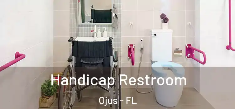 Handicap Restroom Ojus - FL