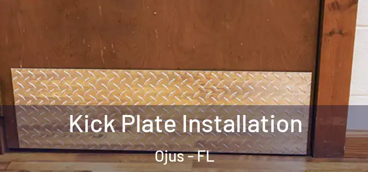 Kick Plate Installation Ojus - FL