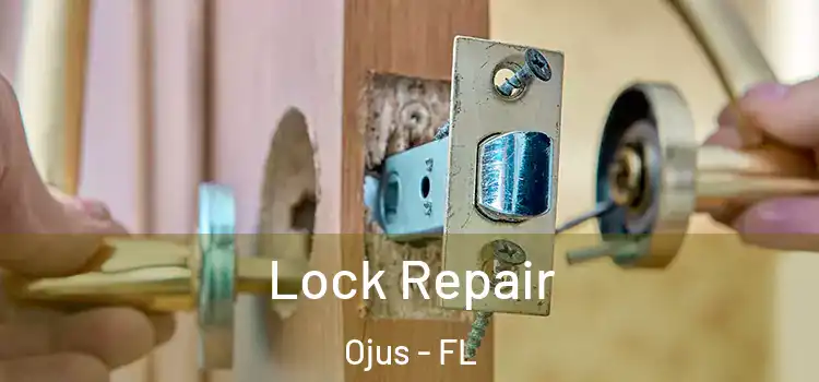  Lock Repair Ojus - FL