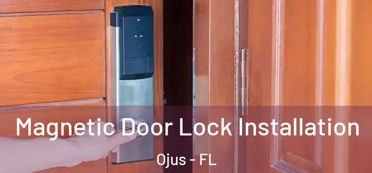  Magnetic Door Lock Installation Ojus - FL