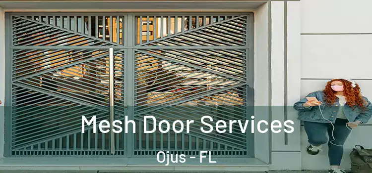  Mesh Door Services Ojus - FL