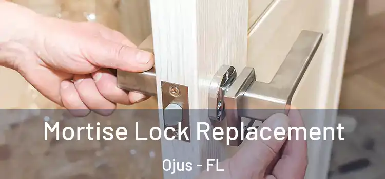 Mortise Lock Replacement Ojus - FL