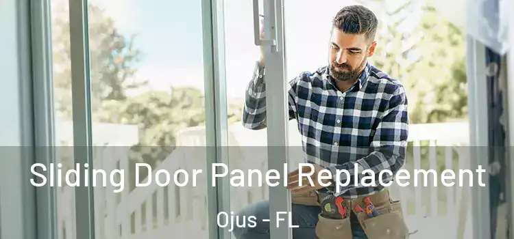  Sliding Door Panel Replacement Ojus - FL