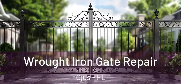 Wrought Iron Gate Repair Ojus - FL